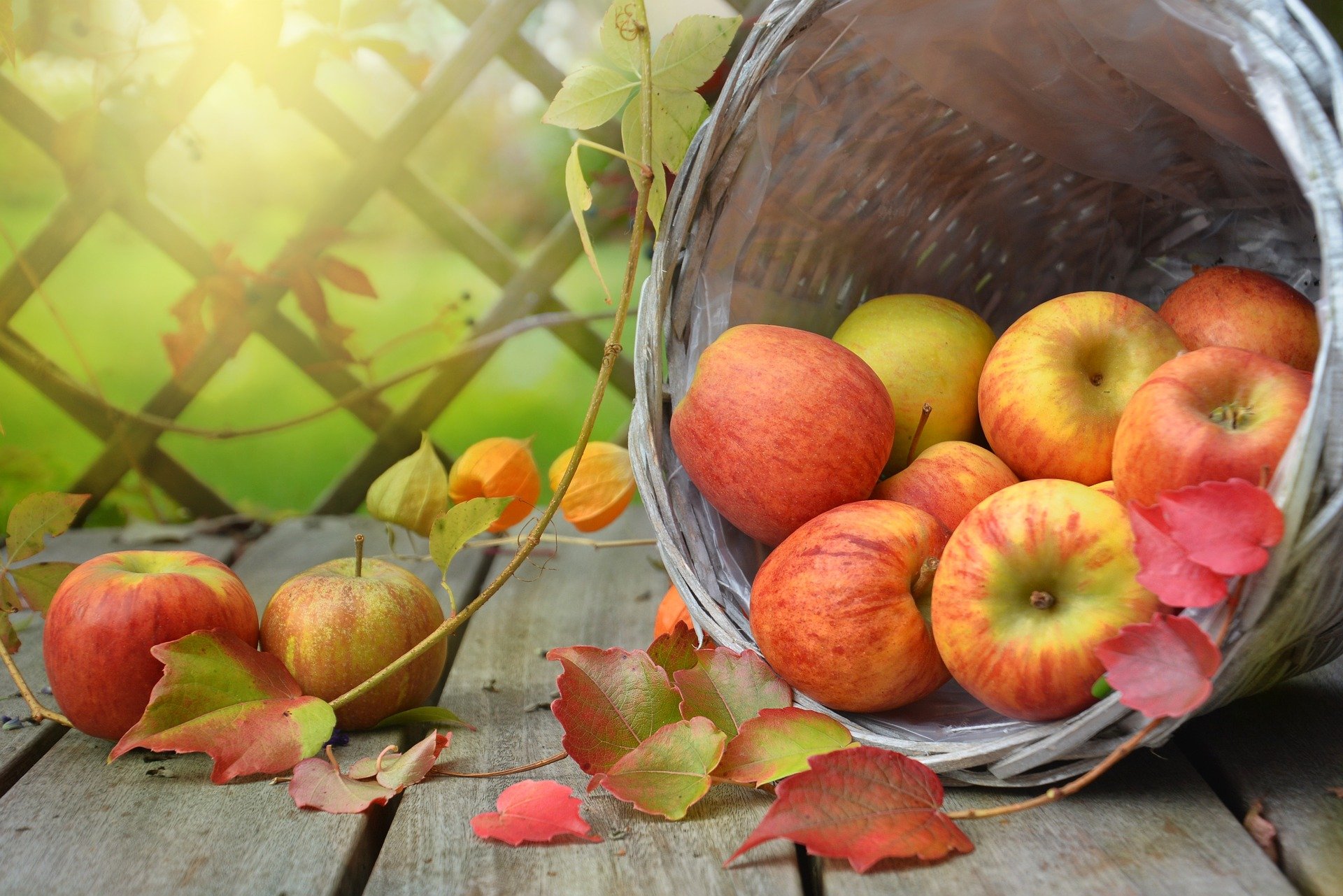Rezepte mit Äpfeln für den Herbst favorite home